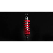 Ammortizzatore posteriore