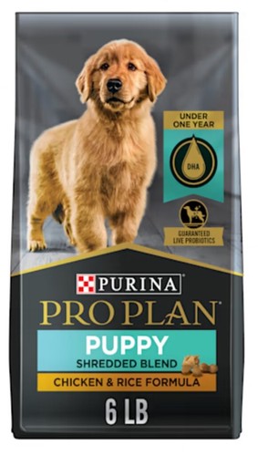 Golden retriever puppy - retriever,