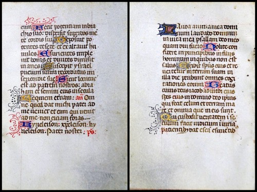 Grafia pergamena foglia - grafia,