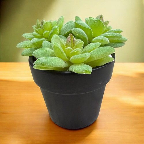 Pianta grassa finta alto - alto, 15cm