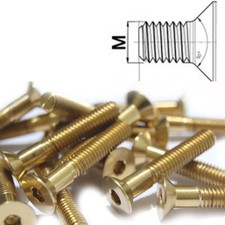 Vite Titanio M6 X 10-35 Testa