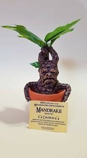 MANDRAGOLA HARRY