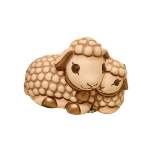 Coppia pecore thun con - thun,