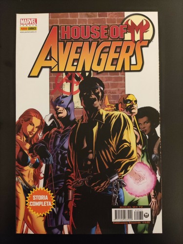 House avengers storia - m:,