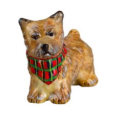 Crema Cairn Terrier con