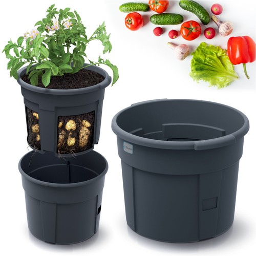 Vaso per piante patate - di,