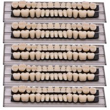 5 set denti finti resina