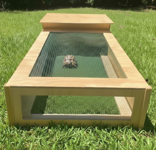 Terrario per tartarughe - terrario,