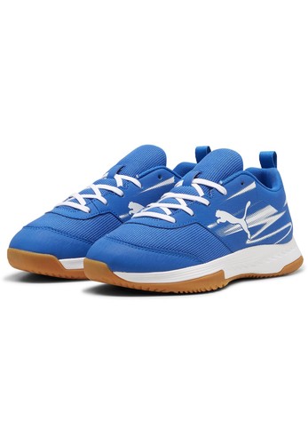 Puma varion - puma, ii