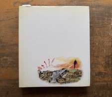 Libro d'arte  Enzo Cucchi