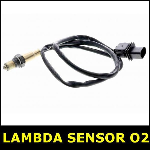 Sensore lambda after cat - after,