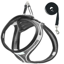 Pettorina Cane Taglia Piccola