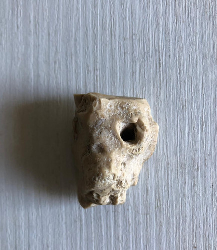 Scultura naturale teschio - scultura, "teschio