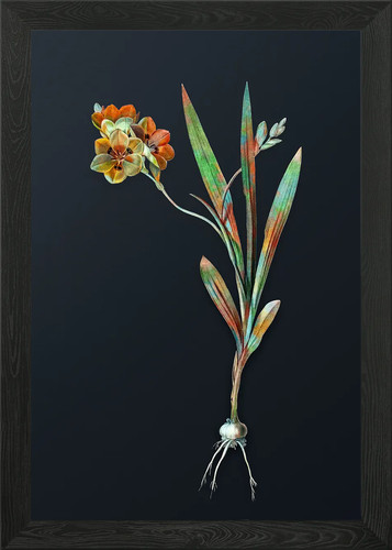 Quadro stampa tela poster - su,