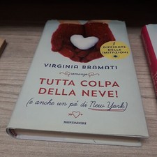 80 Tutta colpa della neve! e anche un pò di New York Virginia Bramati mondadori