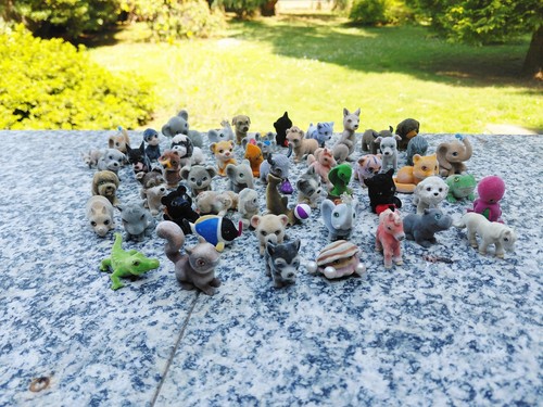 Collezione cuccioli cerca - cuccioli,