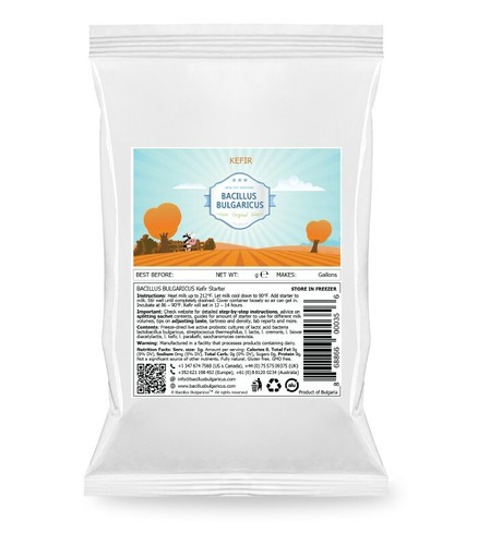 Bacillus bulgaricus kefir