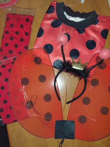 Costume carnevale donna - di,
