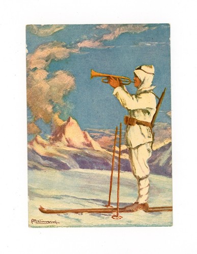 Alpini divisione alpina - alpini,