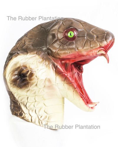 Serpente maschera cobra - serpente,