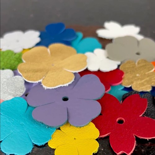Ritagli cuore fiori vera - o,