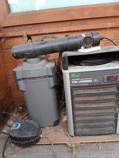 acquario marino  ristorazione esposizione pesce vivo