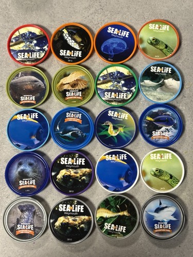 20x merlin pass mixed weymouth - mixed,