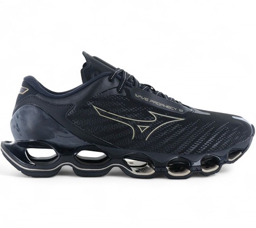 Mizuno wave prophecy - 12, uomo
