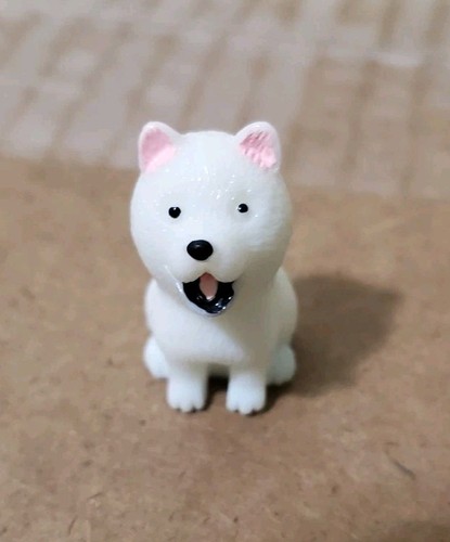 Carino cucciolo cane husky - carino,