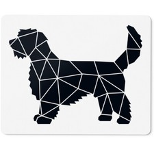 Petit Basset Griffon Vandea