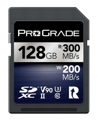 Scheda memoria prograde - memoria,