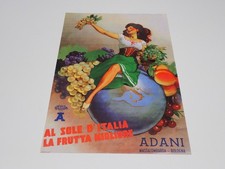 ADANI FRUTTA MANIFESTO AFFICHE