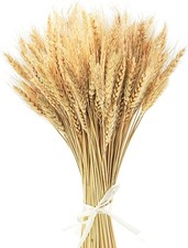 100 Pezzi 40cm spighe di grano