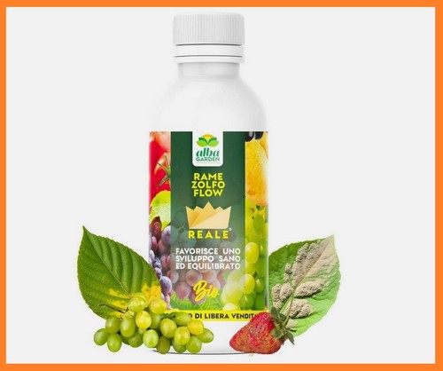 Concime liquido professionale - concime,