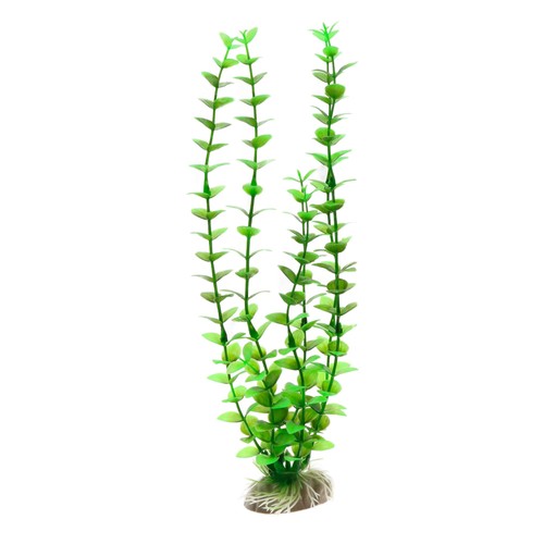 Amtra deko plant rotala - amtra,