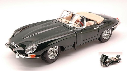 Jaguar type spider - jaguar,