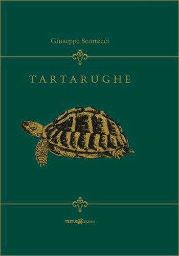 Tartarughe testudo - tartarughe, [testudo]