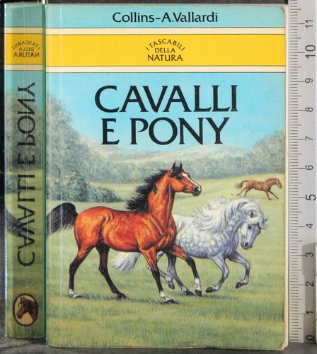 Cavalli pony silver - pony.,