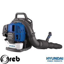 Soffiatore a scoppio a zaino