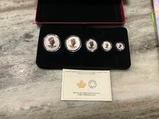 Set frazionario foglia d'acero