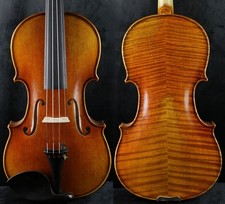 Violino completo professionale