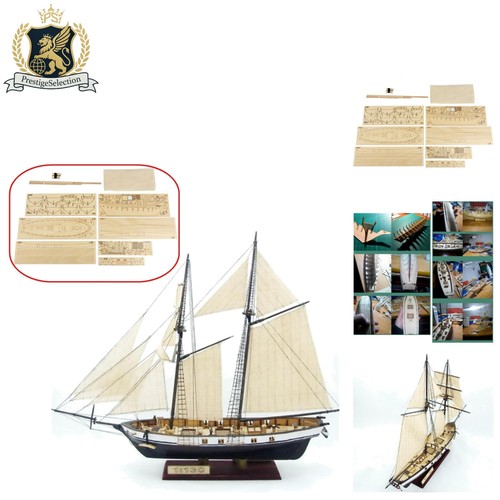 Kit modellino vela legno - kit, in