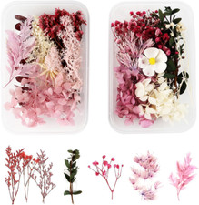 Fiori Secchi Naturali,2