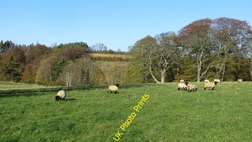 Photo 6x4 suffolk - 6x4,