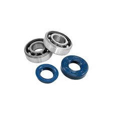 Kit cuscinetti e paraoli