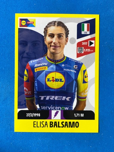 Figurine stickers panini - figurine,