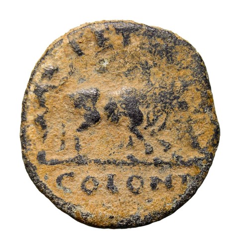 Elagabalo aratura colonista - ae,