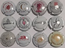 LOTTO DI n°12 CAPSULE SPUMANTE ITALIANE TUTTE DIVERSE come da foto allegata u