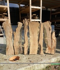 Tavole di legno di Ulivo 6