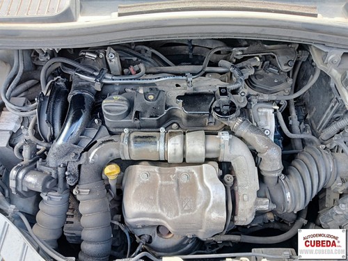 Motore ford max 6 tdci - c-max,